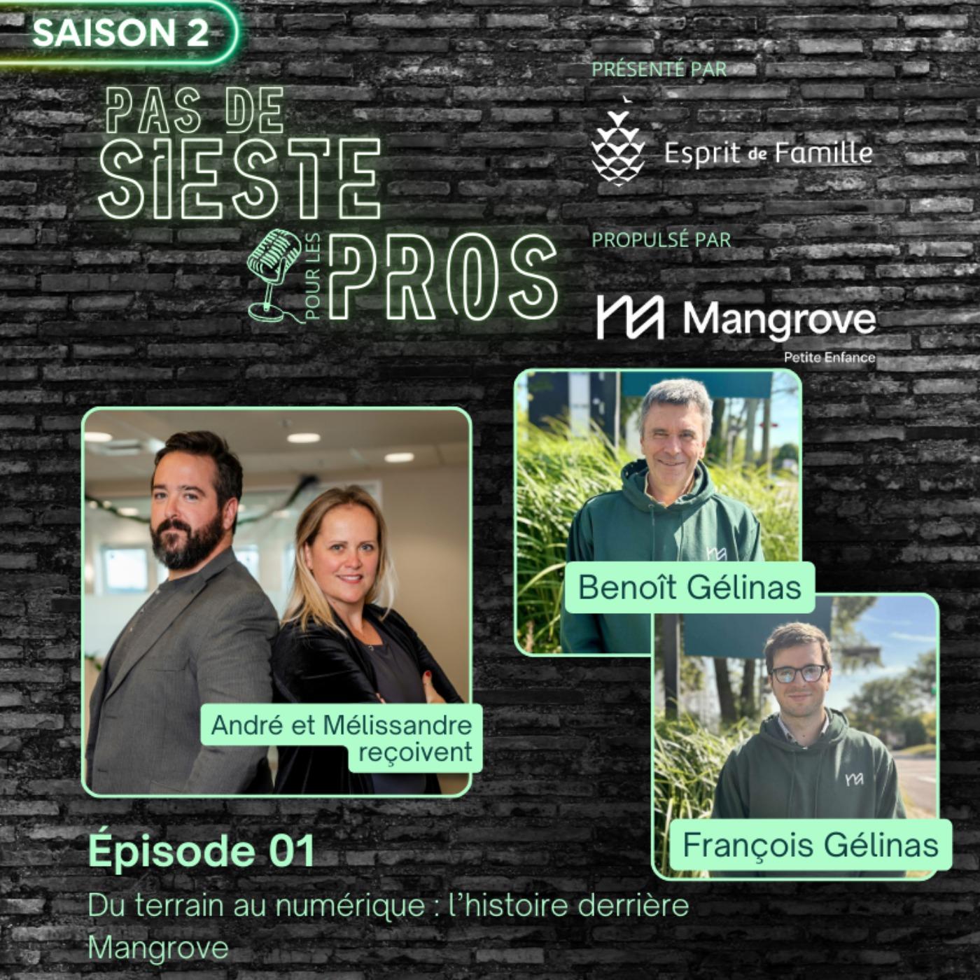 Du terrain au numérique, l’histoire derrière Mangrove